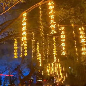 Poésie bannière lumière parcs extérieurs rue <span class=keywords><strong>arbre</strong></span> suspendu créatif <span class=keywords><strong>mots</strong></span> illuminés <span class=keywords><strong>arbre</strong></span> signes publicitaires flexible Led Neon Light - Product Image 3