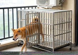 <span class=keywords><strong>Cage</strong></span> pour chien en acier inoxydable soudé pliable et portable, écologique, galvanisée, facile à assembler, <span class=keywords><strong>cage</strong></span> de nourrissage, clôture, treillis - Product Image 6