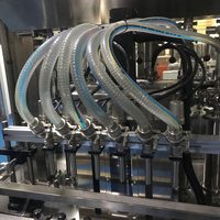 Bouteilles d'eau en PET complet, 10 pièces, pour minéraux purs, équipement de remplissage, machine de production, ligne de production pour plantes
