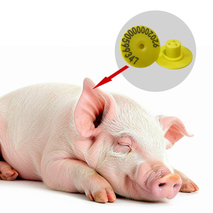 Hot Sales Pet <strong>Injectable</strong> Animal <strong>Tag</strong> and Reader Animal Ear Foot Rfid - Product Image 5