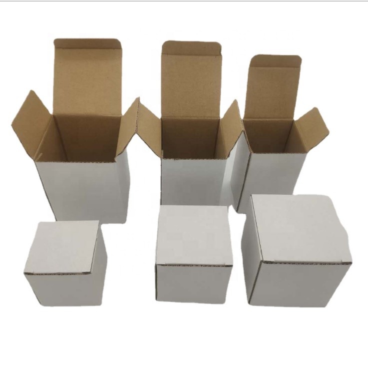 Carton Wholesale Custom Corrugated Cardboard Shipping Cajsa Paper Boxes for Delivery Packaging