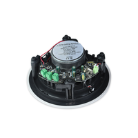 BTF34 4*30W sans cadre à la mode 5.25 pouces coaxial maître bleu dent haut-parleur de plafond avec 1/3 passif 30W haut-parleur de plafond