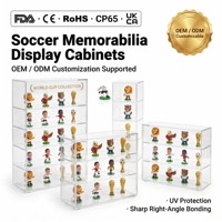 Présentoir de collection portable moderne multi-niveaux en acrylique pour figurines de mascotte, mini-trophées et objets de sport
