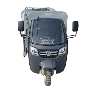3000l Multifunctionele Oplaadbare Afvaltransport Elektrische Moto Elektrische Driewieler Trike Motorfiets 2 Voorwiel Eec Open 3000W