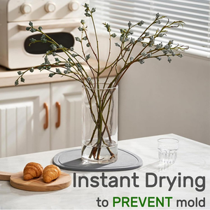 Plateau absorbant <span class=keywords><strong>de</strong></span> tapis <span class=keywords><strong>de</strong></span> pierre <span class=keywords><strong>de</strong></span> <span class=keywords><strong>terre</strong></span> <span class=keywords><strong>de</strong></span> diatomées à séchage rapide pour la maison, le <span class=keywords><strong>jardin</strong></span>, le bureau, les étagères pour la salle <span class=keywords><strong>de</strong></span> bain - Product Image 4