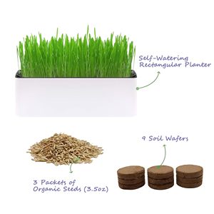 Jardinière écologique pour herbe à chat, pour usage intérieur |   Kit de jardinage rectangulaire pour herbe à chat |   Décoration intérieure - Product Image 5