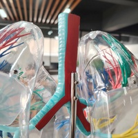 Modelo anatómico de pulmón de PVC transparente DARHMMY con árbol bronquial para visualización de productos de ciencia médica