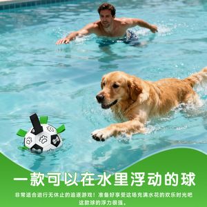 Juguetes para perros pequeños, duraderos y resistentes a las mordidas, perfectos para mantener a los perros entretenidos, como pelotas de fútbol para Corgis y otros. - Product Image 4