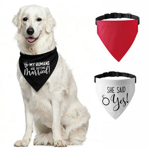 Tanpopo venta al por mayor logotipo personalizado mascota perro Bandana <span class=keywords><strong>Collar</strong></span> precio de fábrica rojo de lujo en blanco liso DIY oferta <span class=keywords><strong>Collar</strong></span> de nailon para perros - Product Image 1
