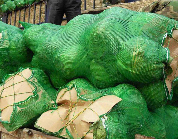 Onions Vegetable Fruit Plastic Packaging Bag