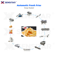 Chaîne de production de frites surgelées semi-préfrites Sensitar certifiée CE, neuve, pour les produits à base de légumes frits
