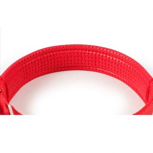 Collier pour chien en polyester avec logo personnalisé, boucle en métal, collier pour chien réglable personnalisé - Product Image 5