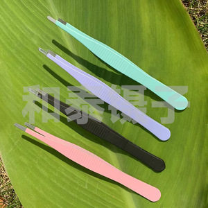 Nuevo producto de comercio electrónico transfronterizo: Pinzas de acero inoxidable para suculentas, kit de manualidades DIY de moda con pinzas rectas de colores. - Product Image 3