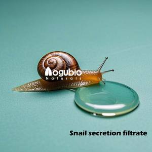 아오구바이오 고품질 99% 달팽이 뮤신 파우더 화장품 원료 달팽이 점액 추출물 분말 스킨케어 순수 달팽이 점액 분말 - Product Image 4