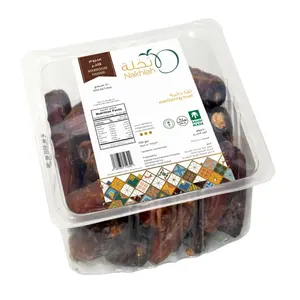 2023 Hot Sales Delicious and Sweet Mabroom Dates 500g Dates Rigid Package from Saudi Arabia