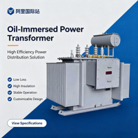 Transformador Trifásico Sumergido en Aceite Tipo E KS13-1250KVA 50Hz con Componentes Plásticos 10kV 0.4KV para Distribución en Minería y Túneles