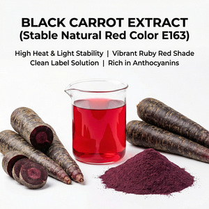 Poudre d'extrait de carotte noire naturelle de haute pureté Anthocyanine Vitamine C Carotène noir Extraction par solvant Qualité alimentaire - Product Image 1