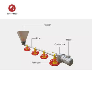 Chất lượng cao Tự động xúc xích ăn dòng cho Gà Gia cầm nuôi trung chuyển thiết bị với giá tốt - Product Image 2