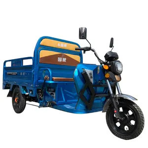 china supply farm use 60V 48V 800W electric three wheeler tricycle motorcycle for cargo load not zongshen huaihai futian baodiao