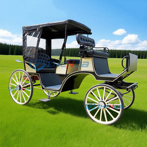 Carroza Eléctrica Turística Zhenda para Bodas, Estilo Europeo, Origen Henan - Product Image 3