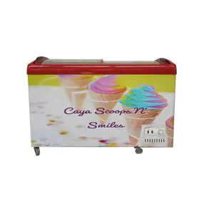 Boutique commercial ice cream display freezer wholesale