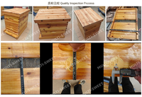 Kit de démarrage pour apiculture, ruche en bois de sapin, ruche Langstroth à double couche, en stock, commande en gros
