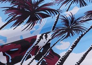 Nueva camisa moderna con estampado integral y velcro, conjunto informal holgado para parejas, camisa de manga corta PRD para hombre y mujer - Product Image 2