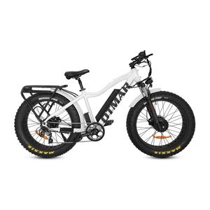Dernier prix promotionnel Vélo électrique double 1000W Batterie au lithium sans balais Vélo de montagne Meilleure vitesse - Product Image 3