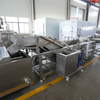 QD 500kg/u Automatische Frietmachine Nieuwe Aardappelchips Verwerkingsmachine Diepvriesfriet Productielijn