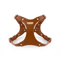 Harnais et laisse pour chien Dego Wholesale en cuir souple imperméable Cortex avec revêtement anti-adhérent pour chiens de petite/moyenne taille