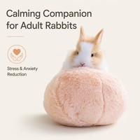 Hasen-Stressabbau-Ball: Langlebiger, Umweltfreundlicher, Leichter, Niedlicher Bionischer Po-Ball für Kleintiere, Ganzjährig Nutzbar, Quanying Pet