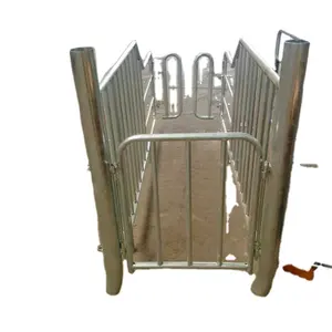 Steel Sow Gestation Stall for Pig Farm Durable Animal Cages at Competitive Price for Farms