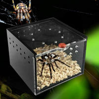 Boîte d'araignée acrylique Terrarium élevage étui pour Gecko lézard Scorpion licorne insecte acrylique Reptile Cage
