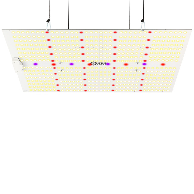 240W Dimmable LED Full Spectrum Indoor Plant Grow Light IP65 Rating For Smart Garden
