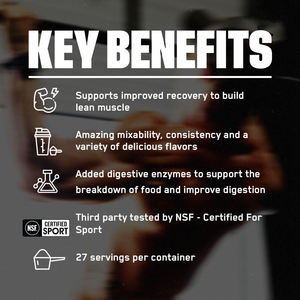 מי גבינה אבקת קזאין 1 ק "ג בתפזורת קולגן חלבון בוטנים תוספת אבקת ייצור - Product Image 2