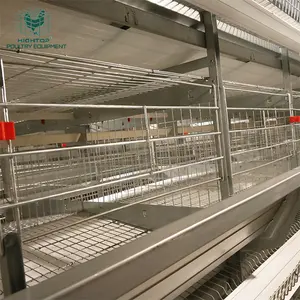 Automatic Hen Egg Laying Farm Battery Layer Chicken Cage Commercial Free Design Kenya Zinc Steel