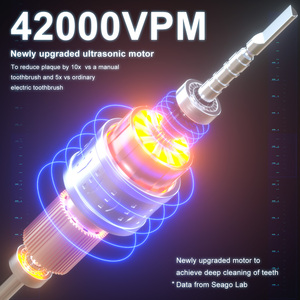 Seago SG-982 Xách Tay Tốt Nhất Bán Buôn Dành Cho Người Lớn Sonic Bàn Chải Đánh Răng Điện Có Thể Sạc Lại Cảm ứng Sạc Với 9 Chế độ - Product Image 4