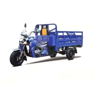 Cargo Transport 150cc 200cc Engine Tricycle Three Wheeler Motorcycle