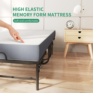 Hot Bán Thiết Kế Hiện Đại Vua Kích Thước Có Thể Điều Chỉnh Có Thể Gập Lại Giường Thép Xách Tay Giá Rẻ Cho Phòng Khách - Product Image 6