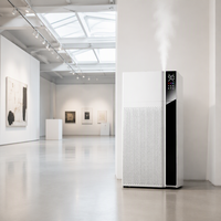 Humidificateur ultrasonique à brume chaude sur pied 20L, direct usine, avec minuterie et diffuseur d'arômes pour bureau et maison