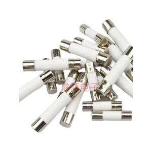 Tube de fusible en céramique 5x20mm 250V à rupture rapide 1A 2A 3A 8A 10A Protection du circuit électrique - Product Image 4