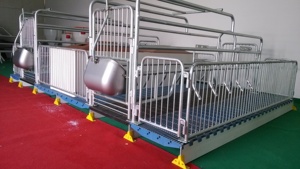 Caisse de mise bas pour porcs avec couvercle Cage pour animaux incubateur porcelet - Product Image 3