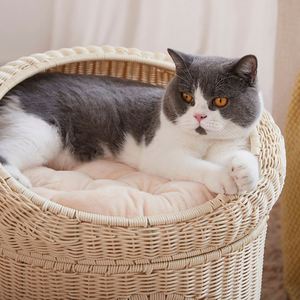 Maison pour chat en rotin tressé à double étage, lit-caverne pour chat à deux niveaux, jouet suspendu, décoration, abri de sommeil pour animaux de compagnie d'intérieur - Product Image 4