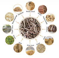 Petites Granuleuses à Biomasse Type à Vis pour Sciure de Bois, Machines à Granulés de Biomasse à Vendre
