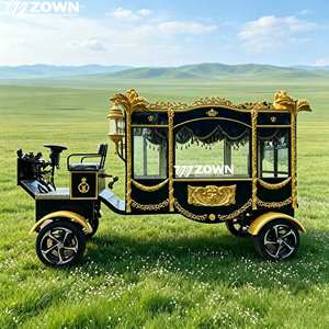 รถศพไฟฟ้าสไตล์วินเทจพร้อมตกแต่งภายในครบครัน ลดราคาพิเศษ - Product Image 1