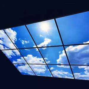 Jiaxing एलईडी पैनल प्रकाश फैक्टरी 600*600 603*603 595x595 आकाश प्रकाश पैनल प्रकाश बादल Sky2x2ft छत रोशनदान पैनल छत का नेतृत्व किया