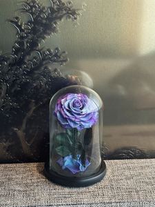Rosa Galaxia de Flor Eterna en Caja de Regalo con Forma de Cubo, Embalaje en Cúpula, Regalo para el Año Nuevo Chino y San Valentín - Product Image 6