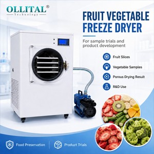 Liofilizador al Vacío Ollital para Café Instantáneo, para Investigación <span class=keywords><strong>de</strong></span> Muestras <span class=keywords><strong>de</strong></span> Bebidas y Desarrollo <span class=keywords><strong>de</strong></span> Fórmulas - Product Image 1