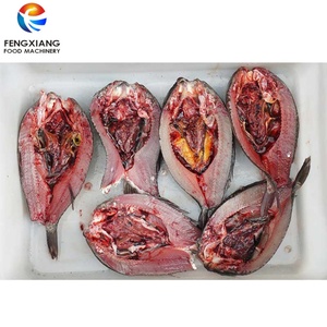 เครื่องแล่เนื้อปลาอัตโนมัติ FGB-170 สำหรับปลาทิลาเปีย ปลาคอด ปลาไวท์ฟิช และปลาเทราท์ - Product Image 5