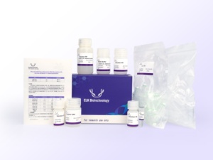 Kit ELISA Mouse 5-HT (5-idrossitriptamina) per uso di ricerca - Product Image 5